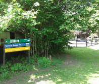 Sfeerimpressie camping - Camping &rsquo;t Haldert